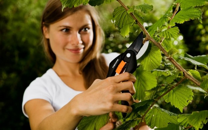 Секаторы Fiskars